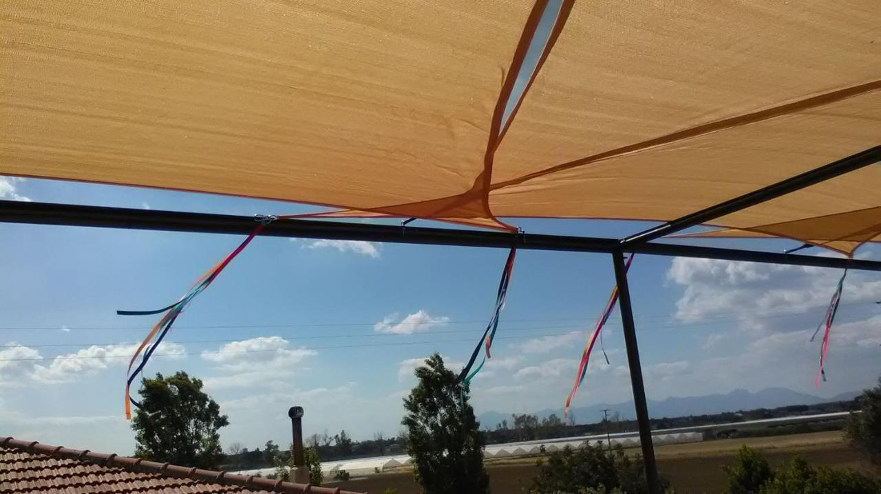 Casa Del Geco Panzió Paestum Kültér fotó