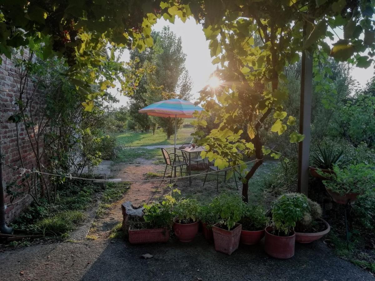Casa Del Geco Panzió Paestum Kültér fotó