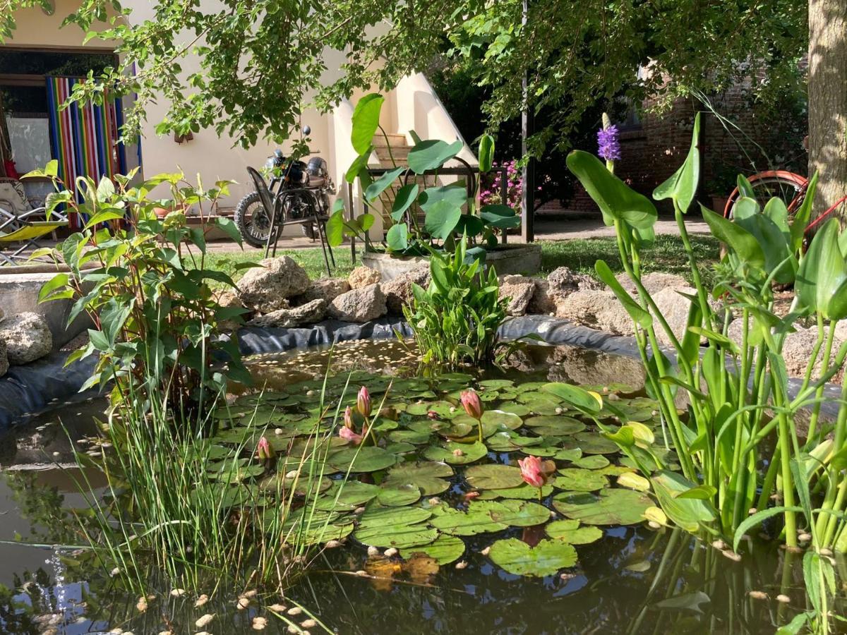 Casa Del Geco Panzió Paestum Kültér fotó