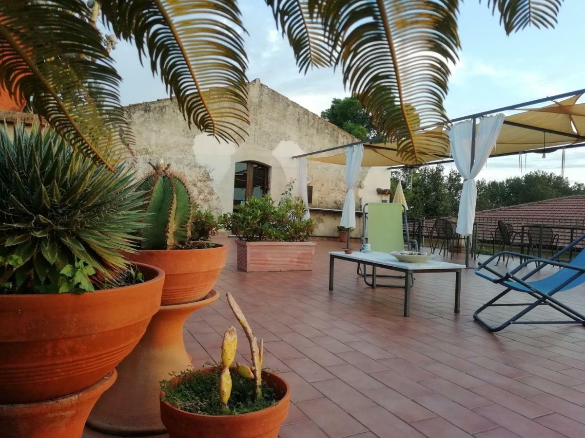 Casa Del Geco Panzió Paestum Kültér fotó